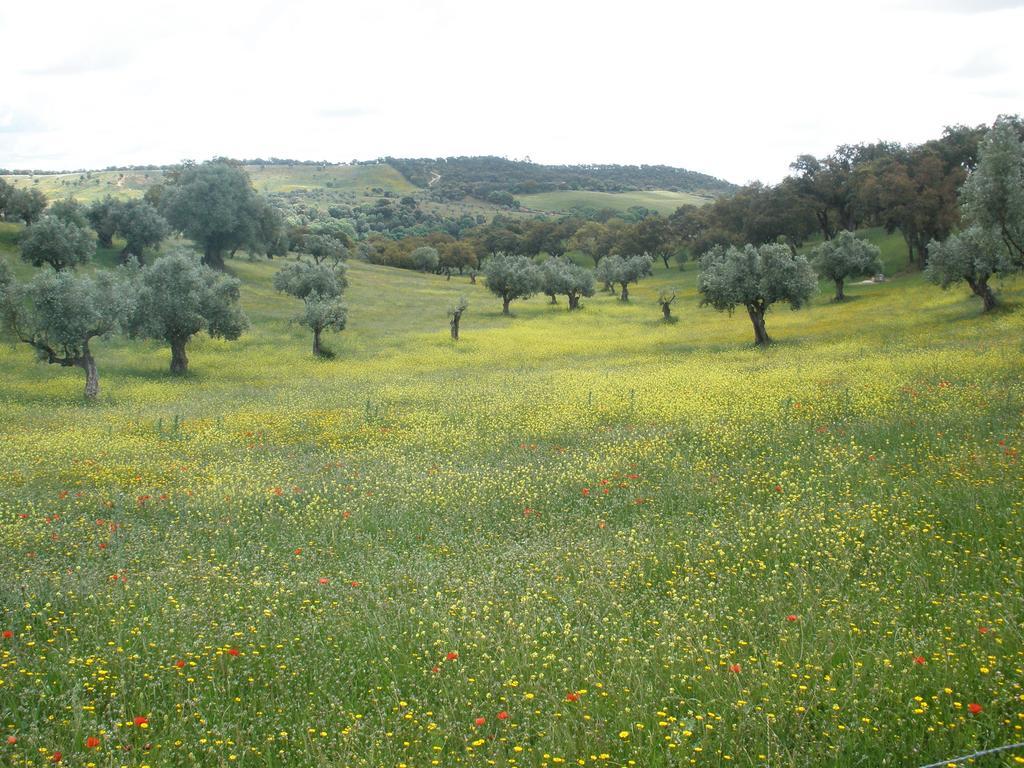 Villa Quinta Da Mata Sobral  Habitación foto