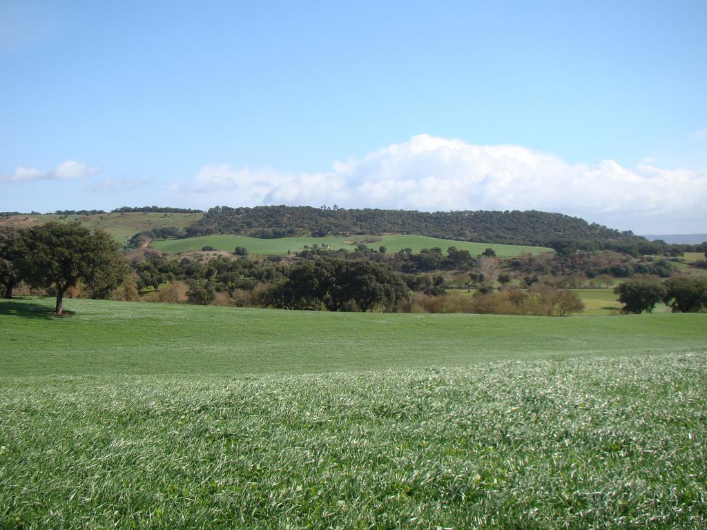 Villa Quinta Da Mata Sobral  Habitación foto