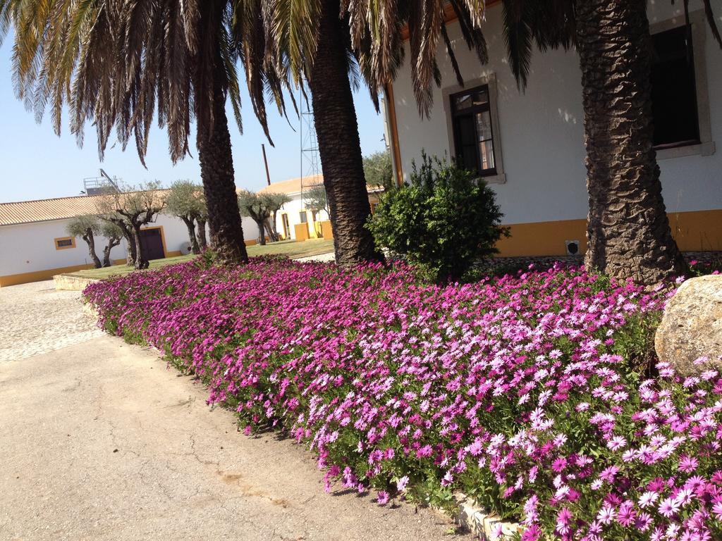 Villa Quinta Da Mata Sobral  Habitación foto